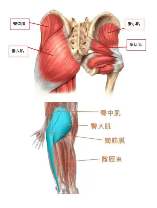 最新臀療手法視頻，探索臀部美麗與健康之道