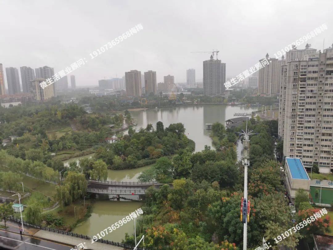 常德公園世家最新房價動態(tài)及其市場影響