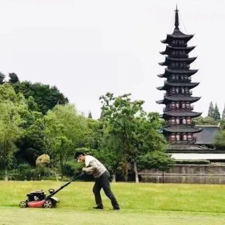 中山年票最新動(dòng)態(tài)，政策調(diào)整及未來展望