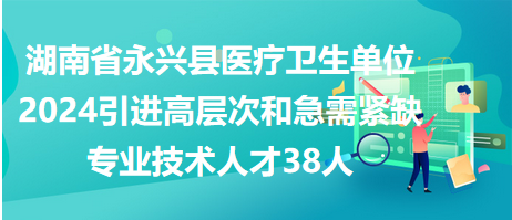 永興人才招聘最新動態(tài)，引領(lǐng)人才發(fā)展風(fēng)向標(biāo)